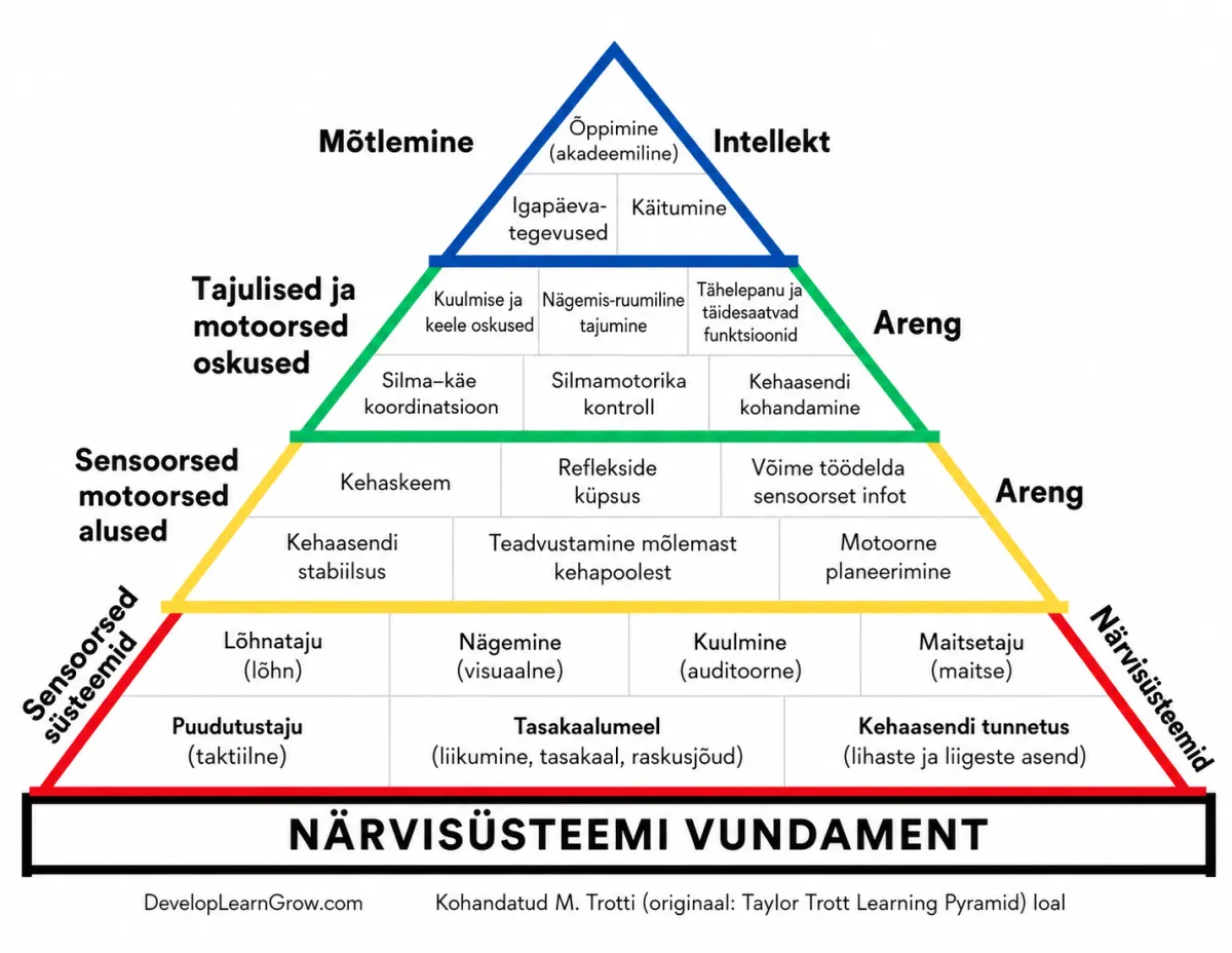 Kui laps ei suuda keskenduda, ei pruugi probleem olla tähelepanus