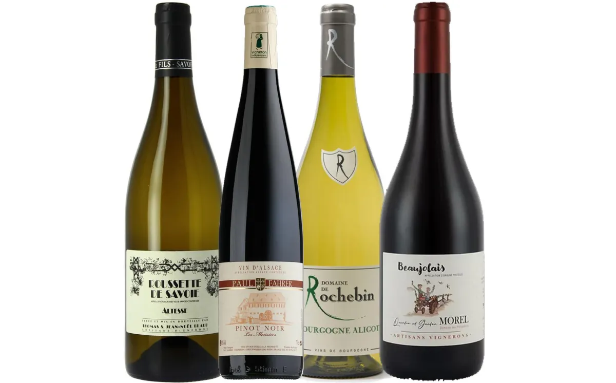 nouvelles régions de vins