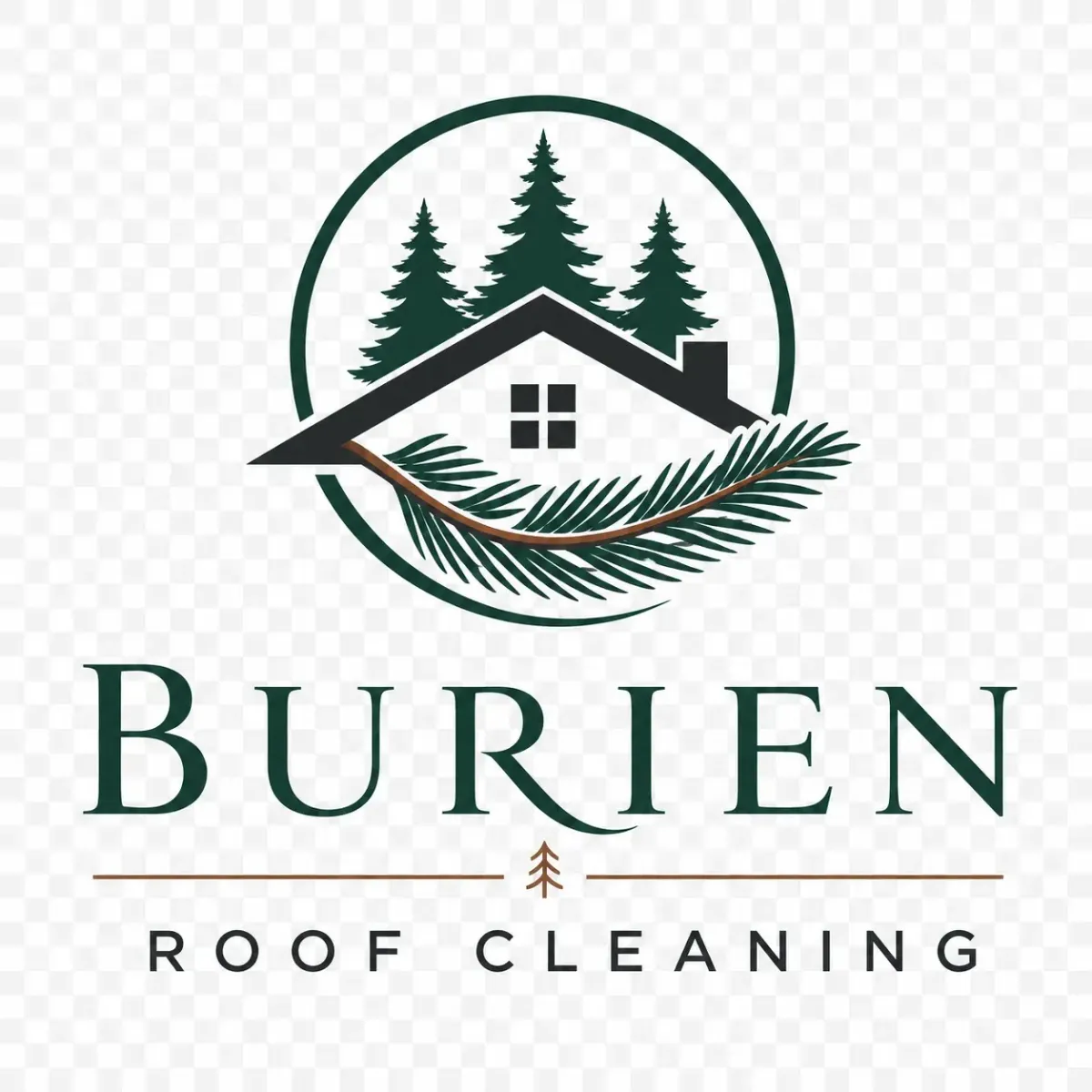 burien roof cleaning logo