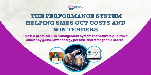Sustainable Development as a Business Performance System