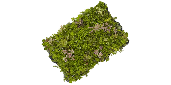 Zatravňovacia dlažba