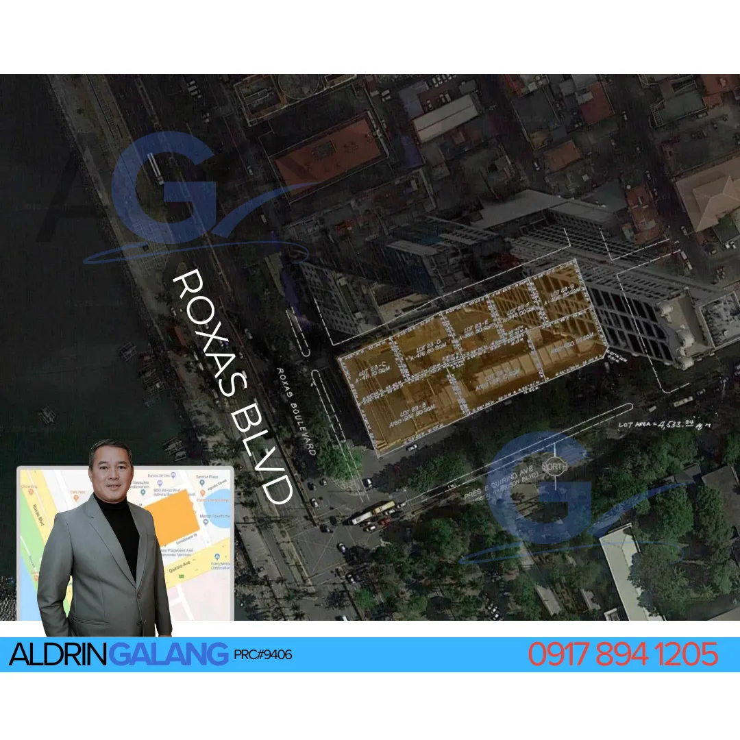 ROXAS BLVD PROPERTY FOR SALE