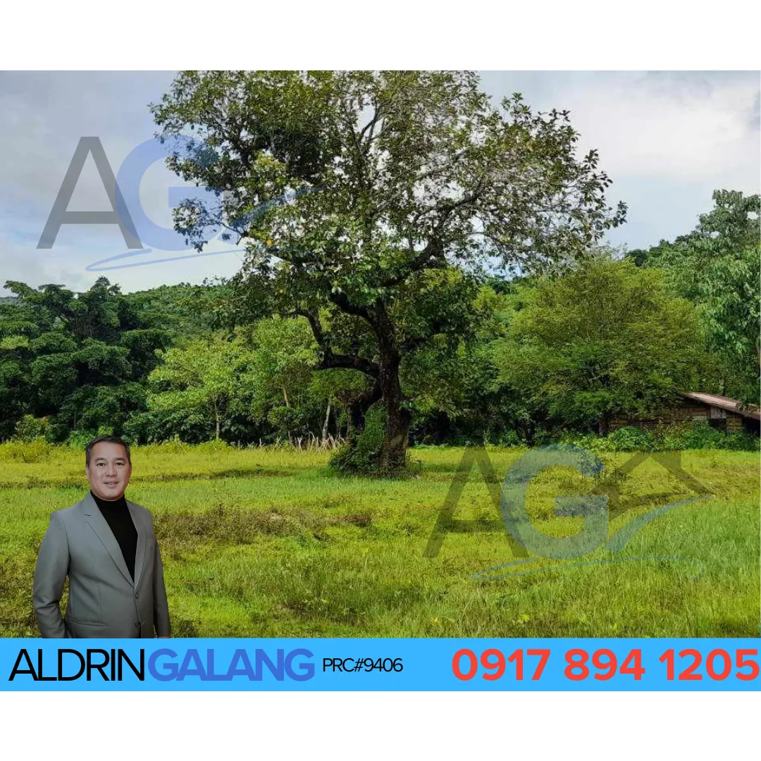 16.2 Hectares of Land FOR SALE at Barangay Cuyambay, Tanay Rizal