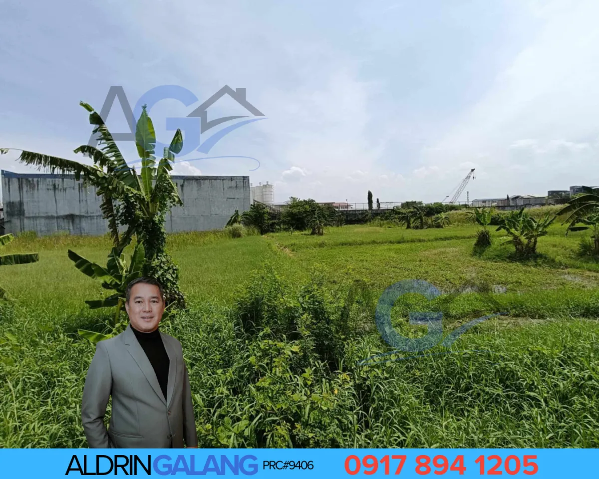 Prime 4.5 Hectare Vacant Lot on Levi Mariano Avenue, Taguig City