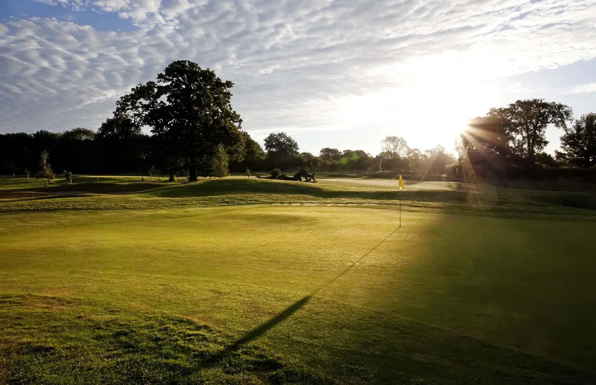 green grass field near green trees under white sky during daytime
