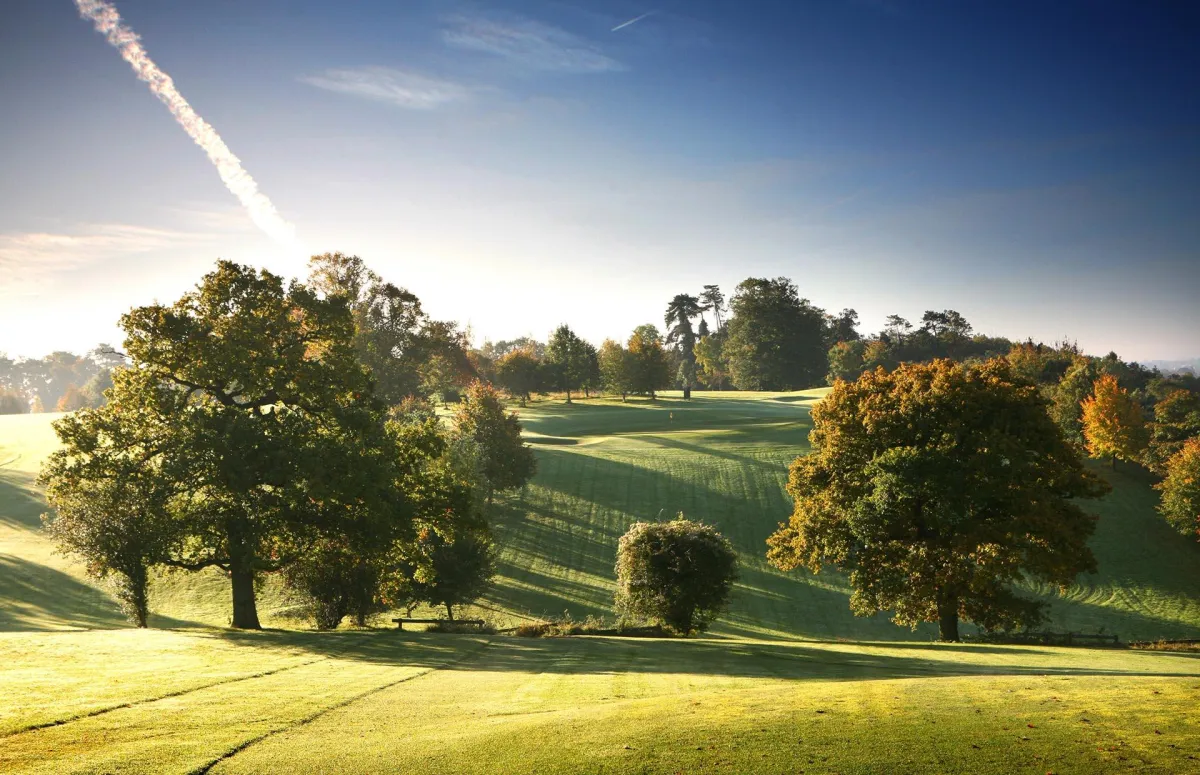 a person swimming in the water with grass