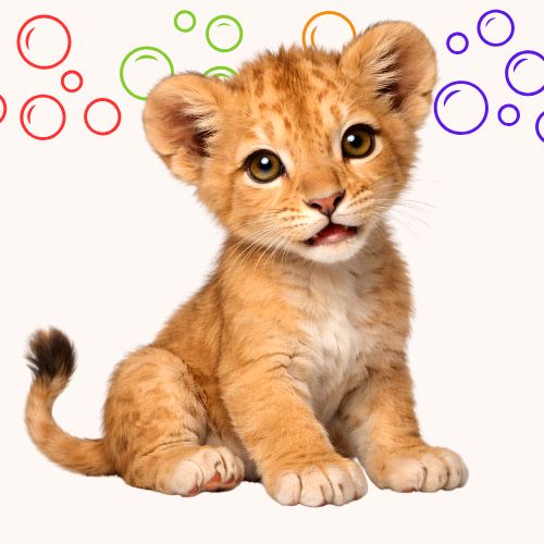 About Bubbles Child Enrichment Center