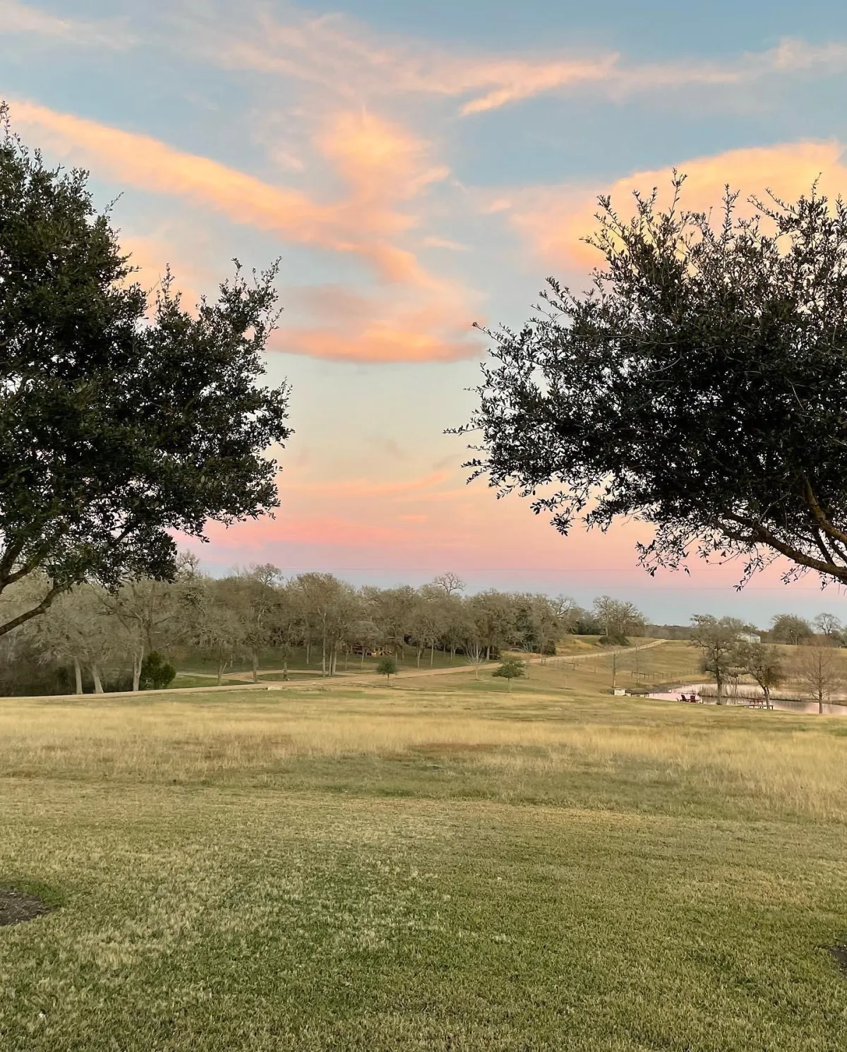 StarHill Farms Pink and Blue Sky