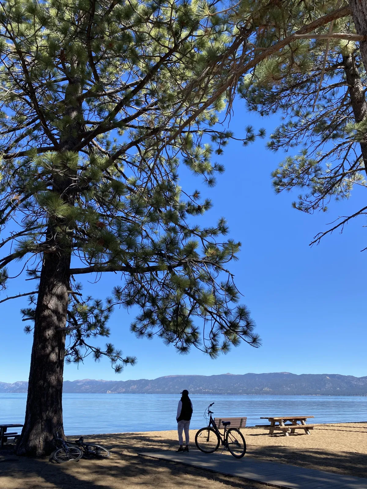 This is a beautiful and serene photo—tall pine trees framing the scene, a person standing near a bicycle gazing out at the calm lake, mountains in the distance, and clear blue skies. Childless by chance and not by choice.