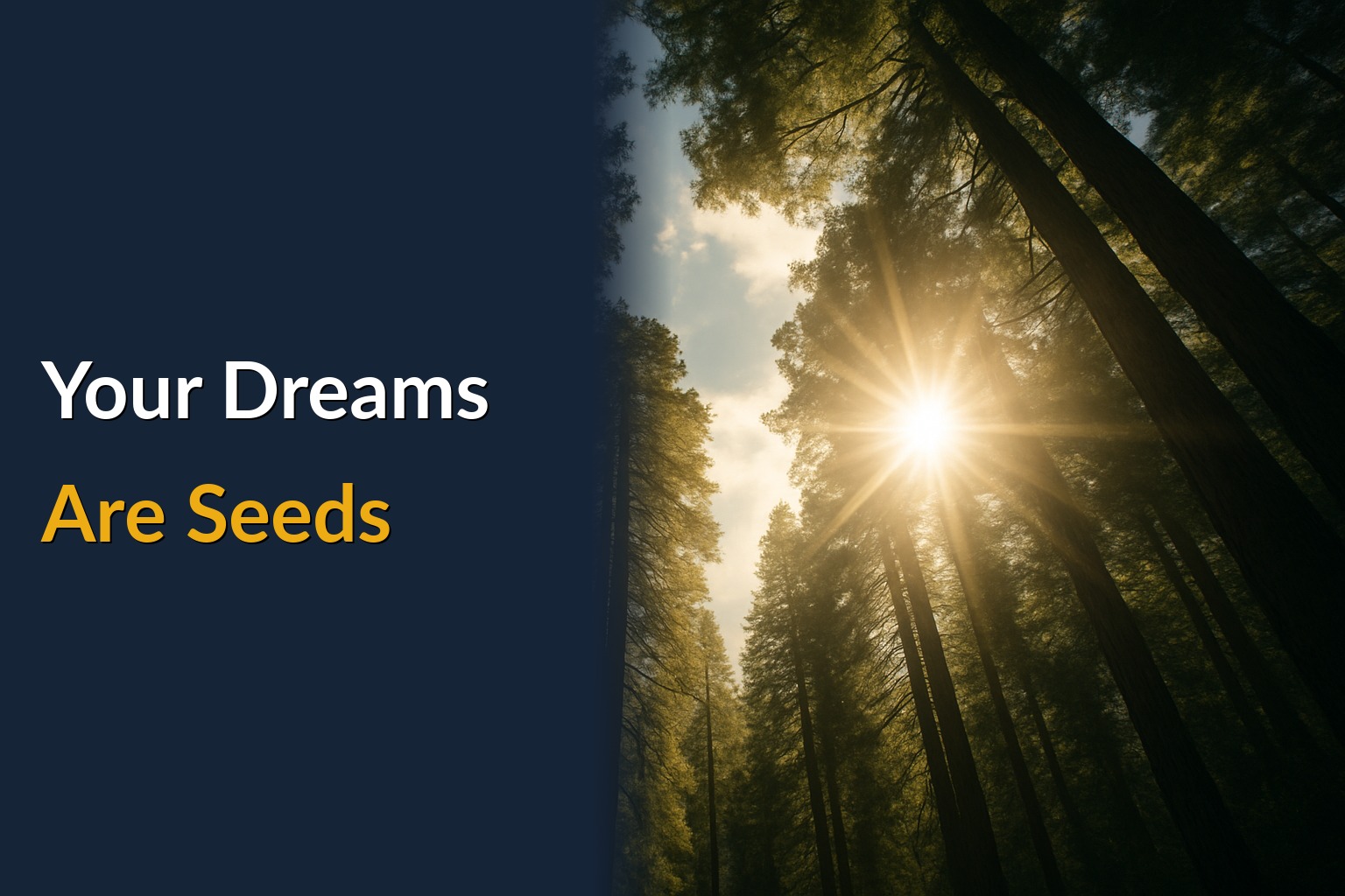 Your Dreams Are Seeds