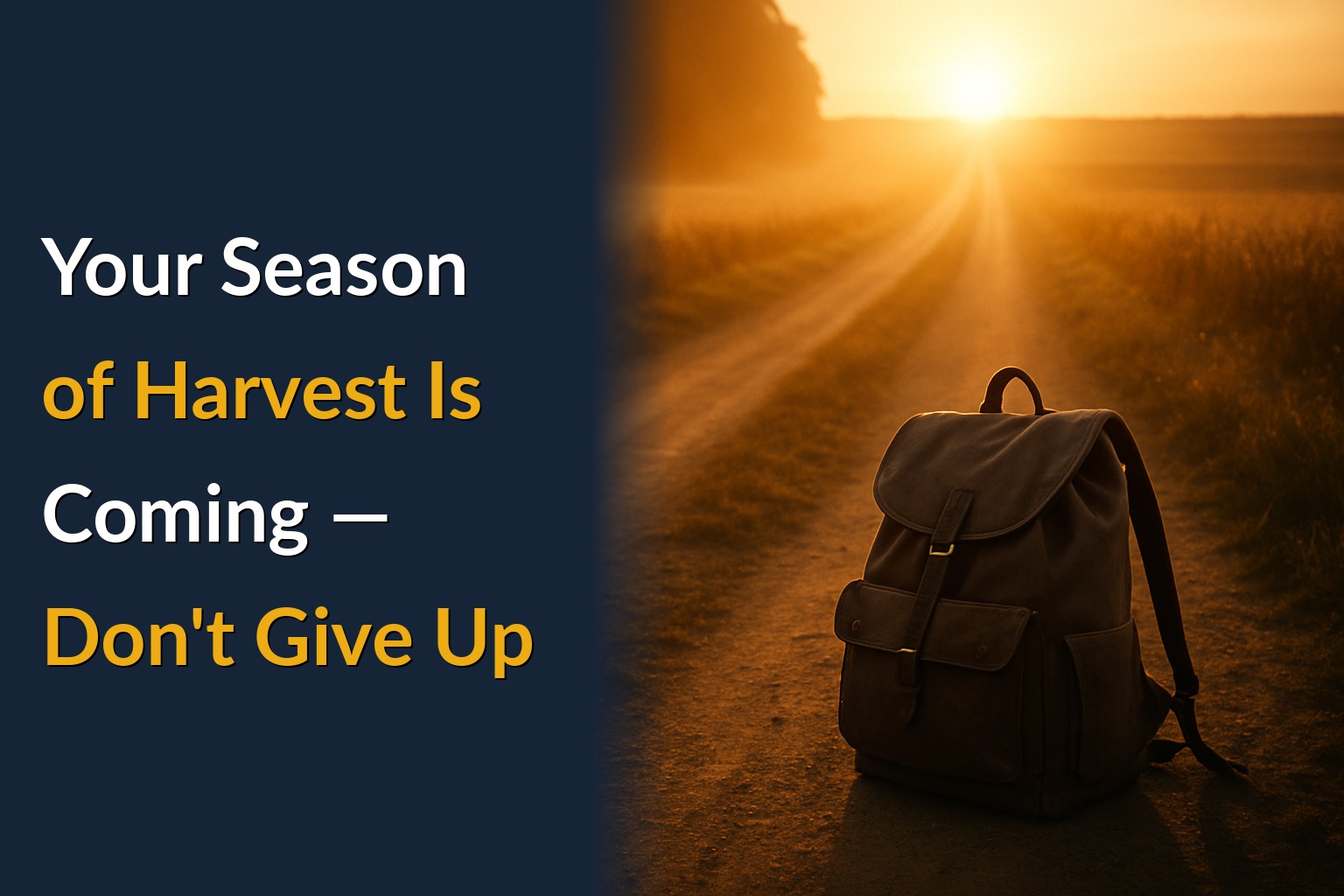 Your Season of Harvest Is Coming — Don't Give Up
