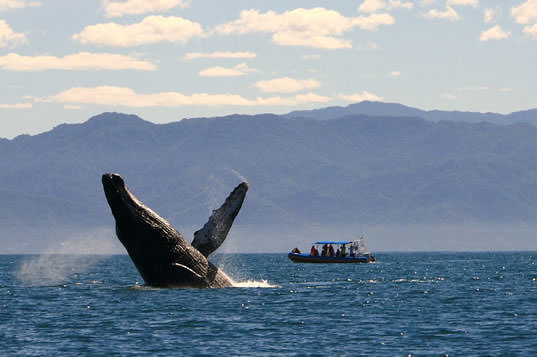 What To Do in Puerto Vallarta in December 2019