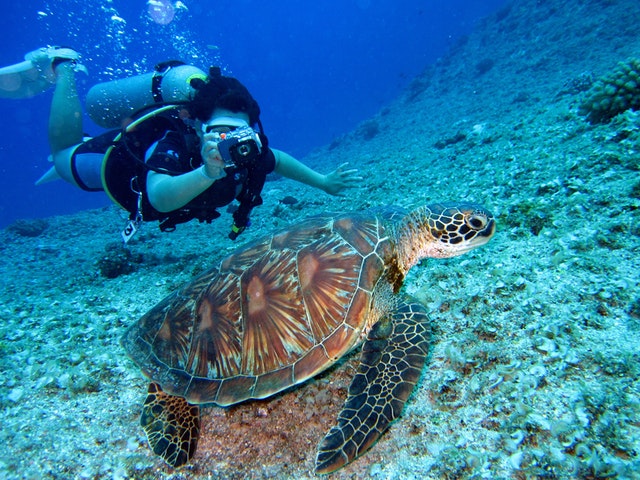 10 Awesome Things To Do In Puerto Vallarta