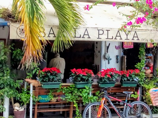 Best Bars in Puerto Vallarta – Nov. 2019