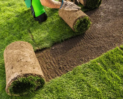 South Corona Artificial Turf