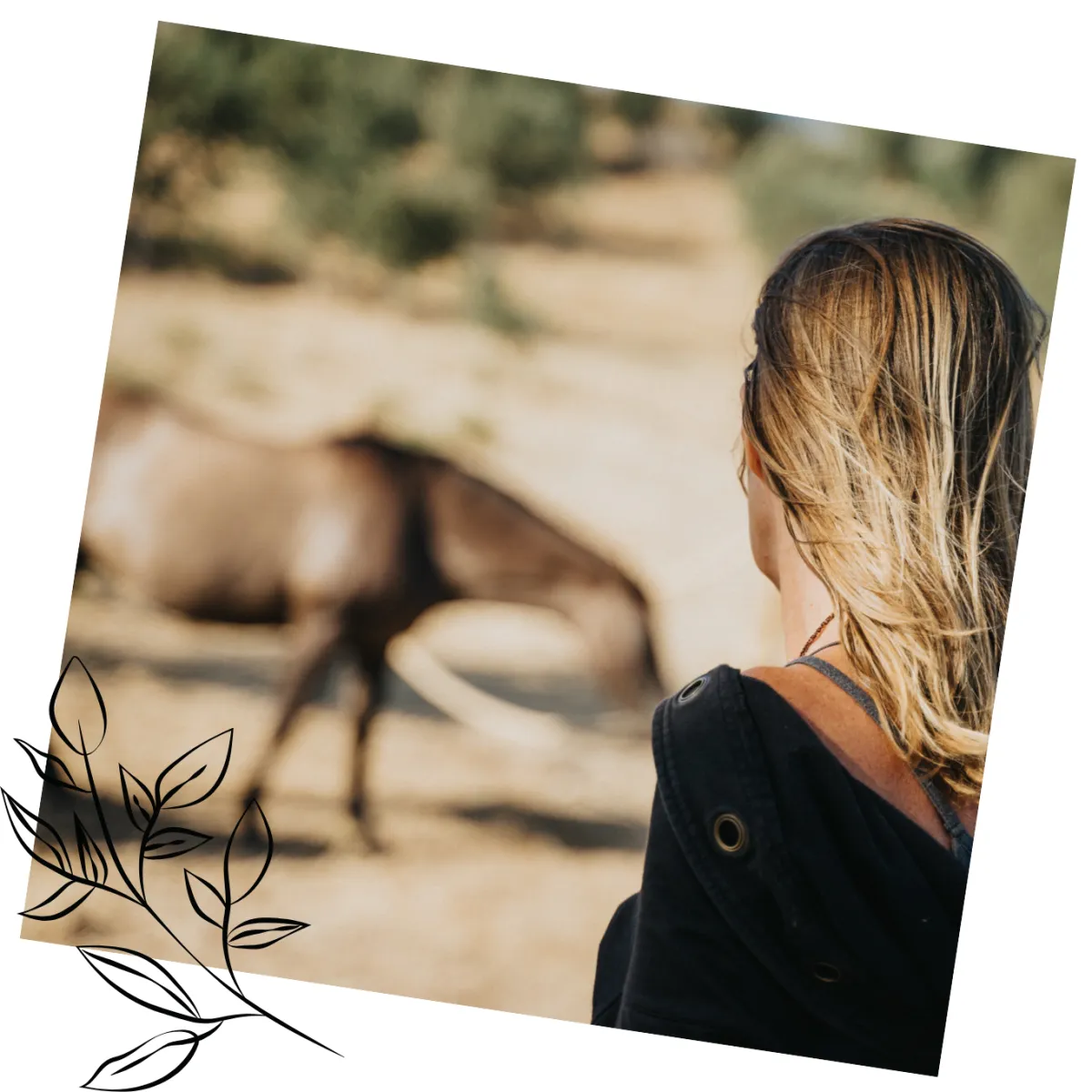 Woman looking at horse