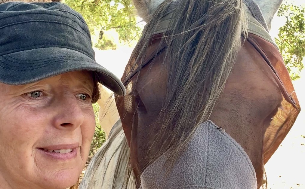 The Microscopic Conversation Happening Between You and Your Horse Right Now
