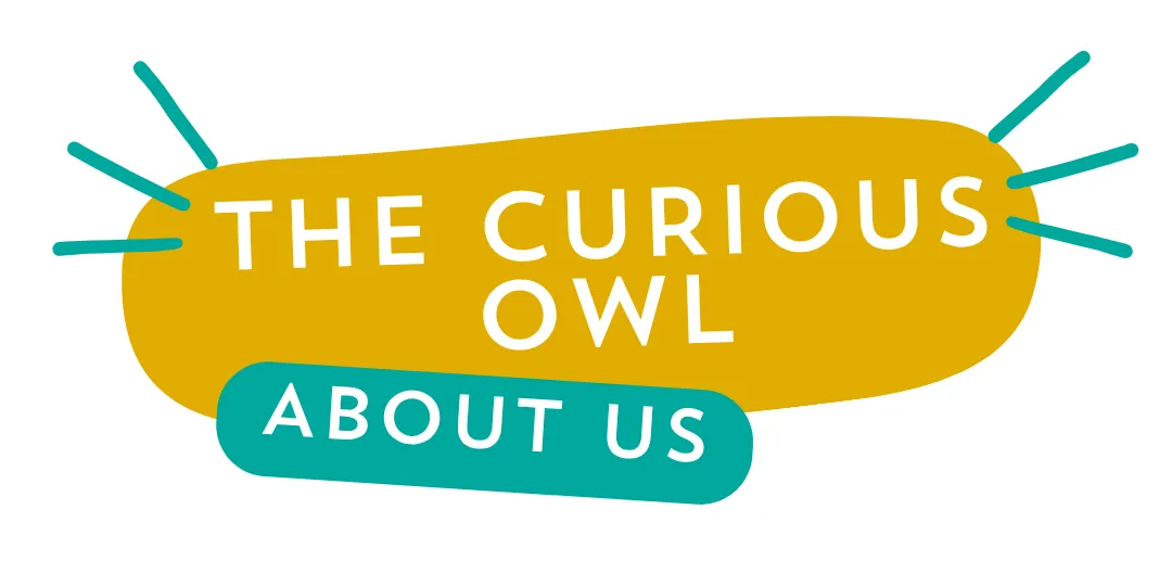 The Curious Owl Hull - About us
