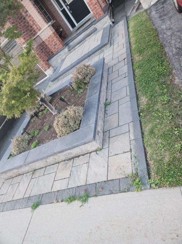 Sod installation and lawn landscaping Burlington Project Seal & Coat