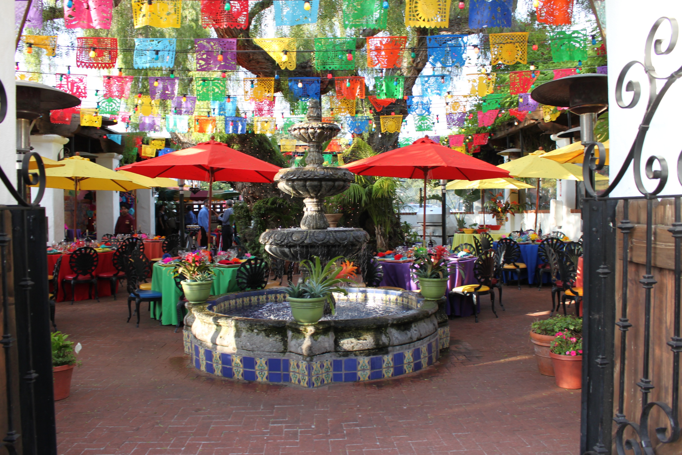 Mariachi in the courtyard at Casa Guadalajara