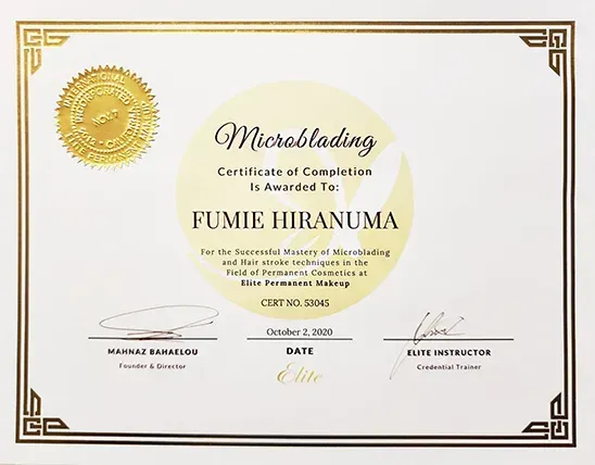 FH Beauty Ink LLC - Microblading Certificate