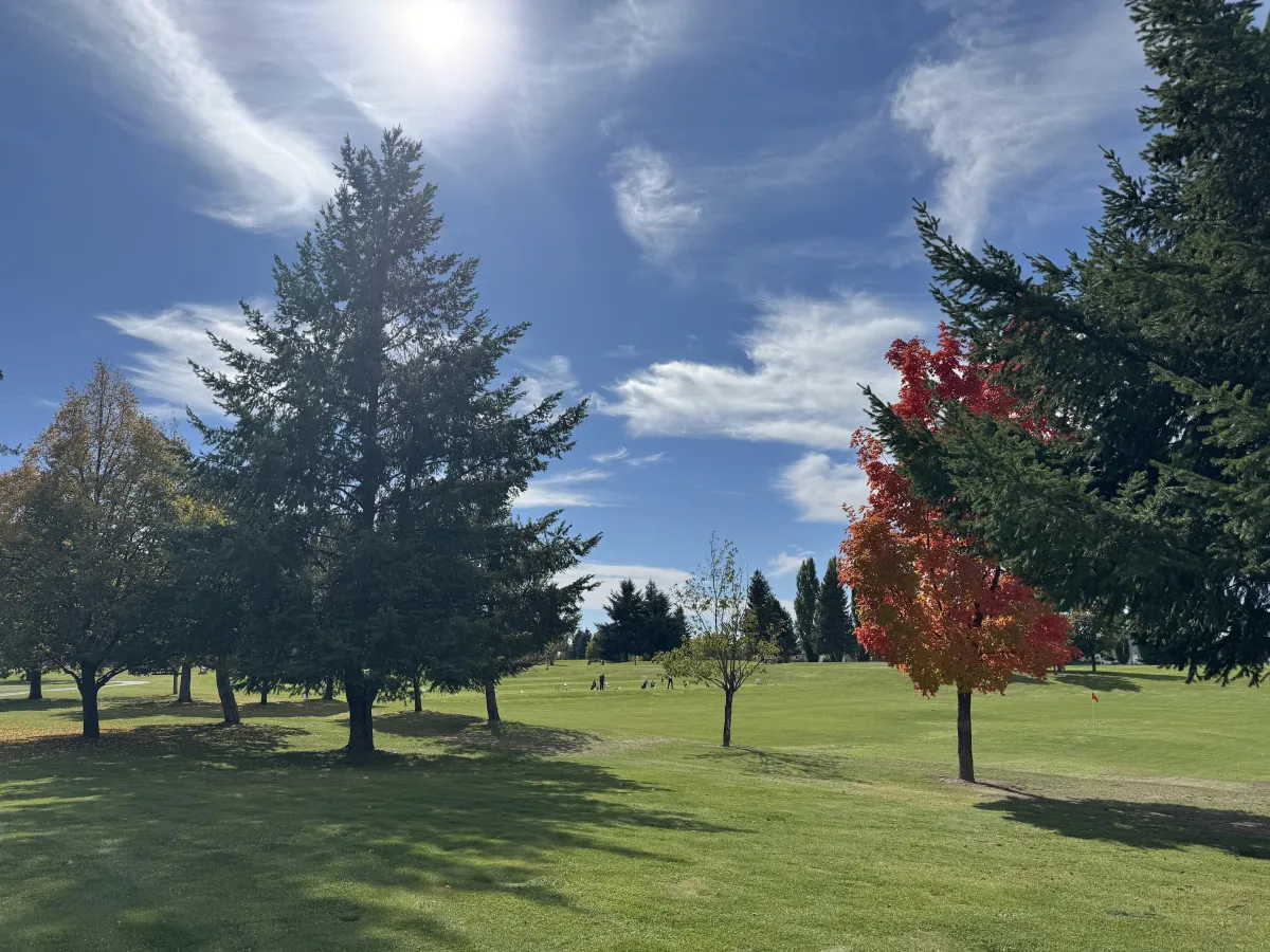 Beautiful Colors Painting Deer Park
