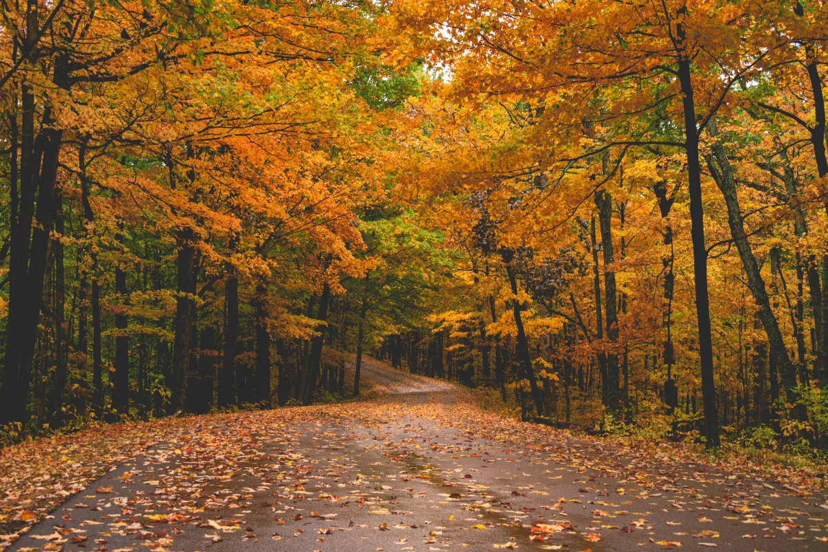 October 2025 Newsletter