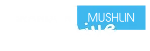 Official Logo of Brandon Mushlin Creative: Discord Live Stage icon with a blue background and white text.