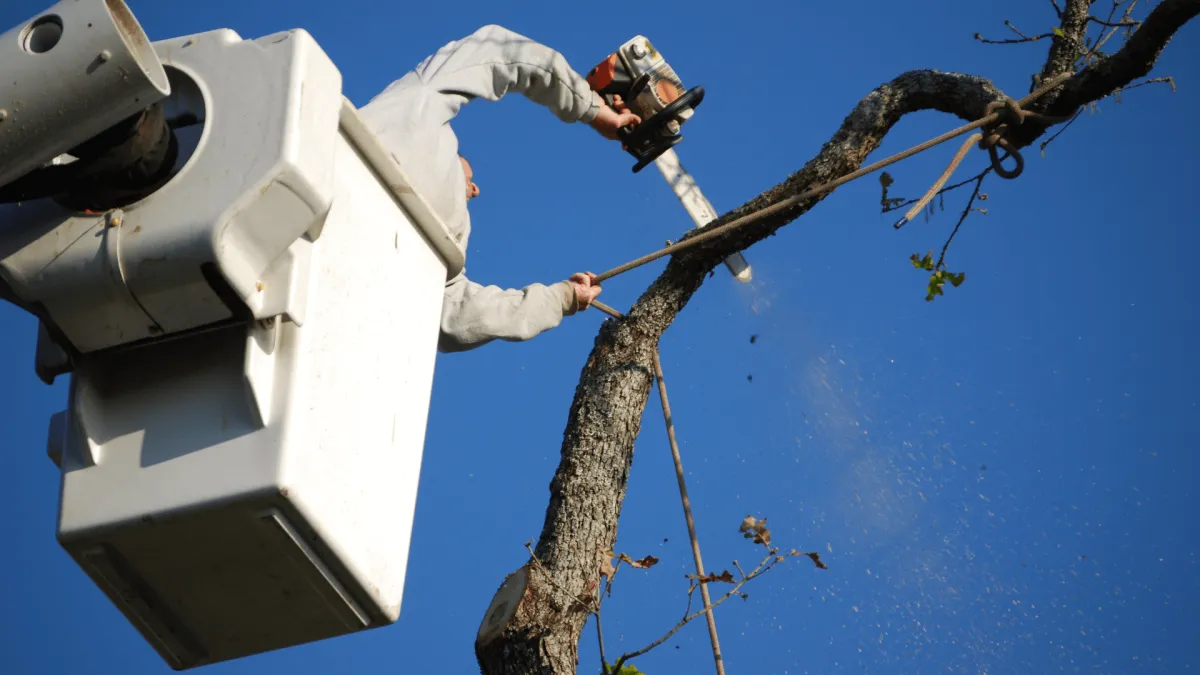 Tree Pruning