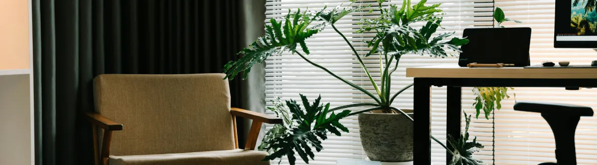 Miért fontos a weboldal sebessége?