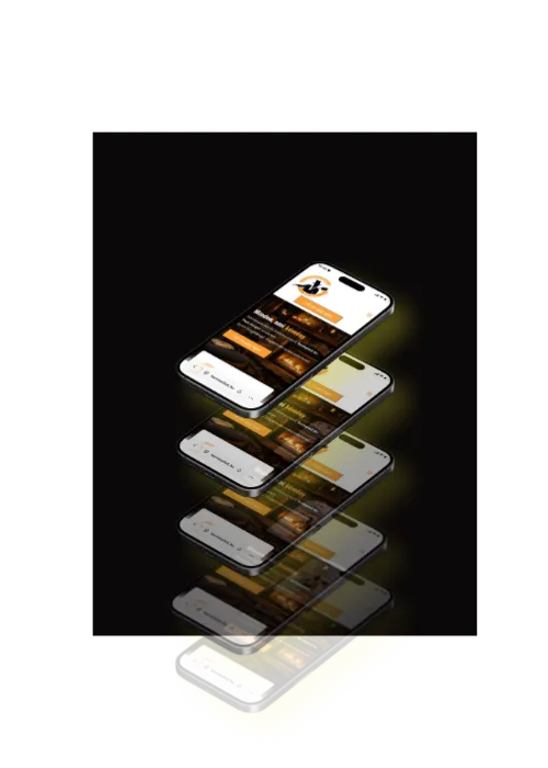 Kéményszerviz weboldal szolgáltatás bemutatás