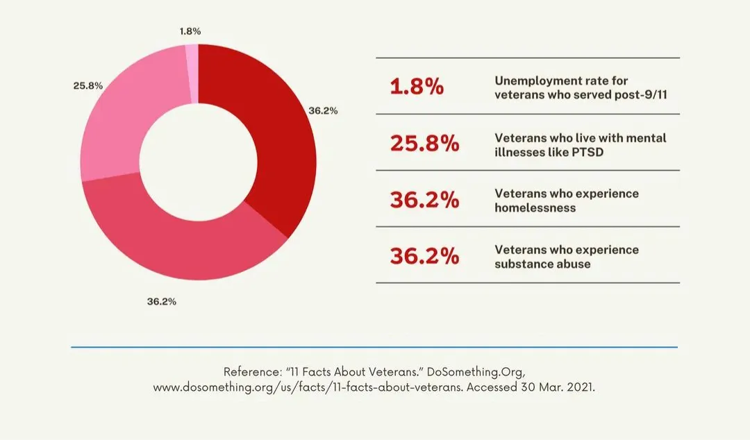 Infographic chart depicting statistics on veterans' struggles, presented in percentages.