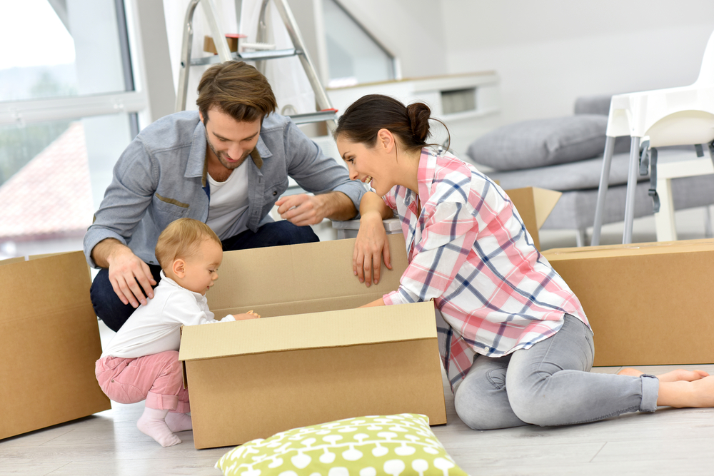 About Busy Bee Removals
