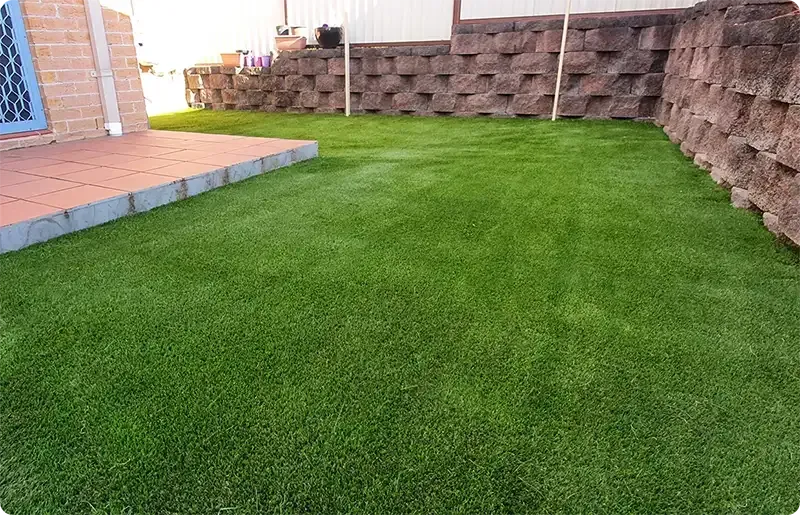Pet Areas