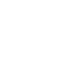 Official Gtechniq Applicator