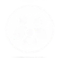Experienced & Trusted Drivers