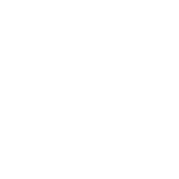4+ Years in Business
