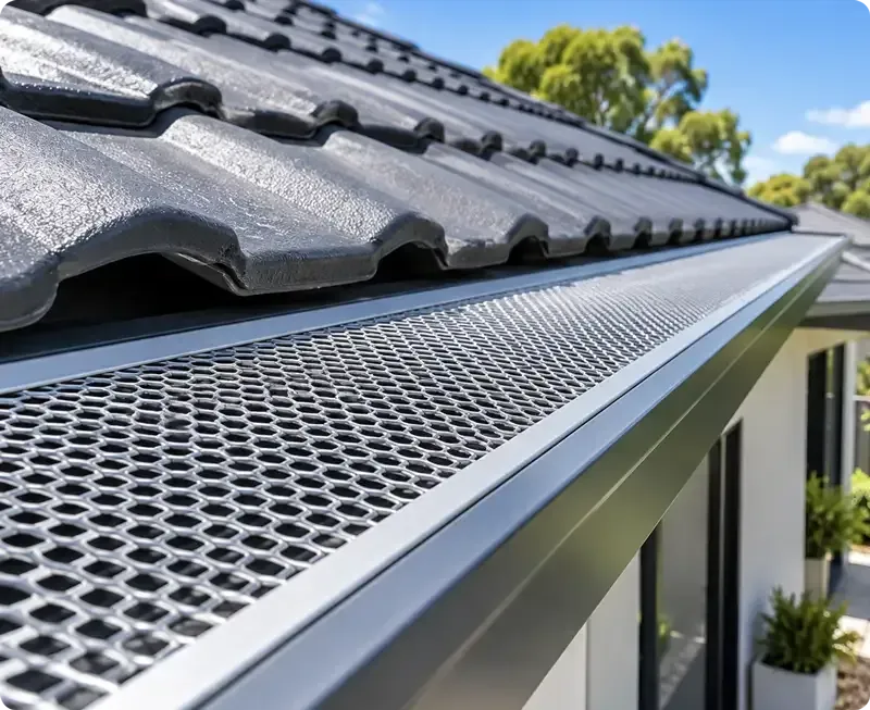 Gutter Protection