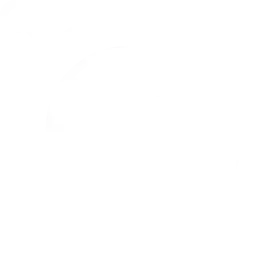 Dealer Network