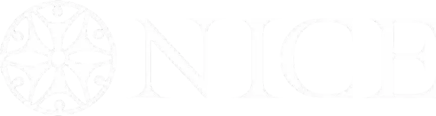 Logo Turbo Team