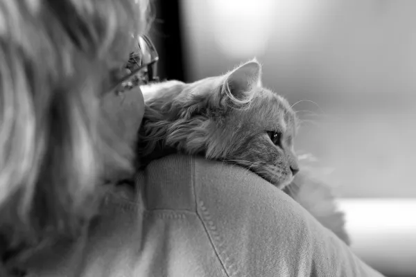 Everything to Know About Animal Assisted Therapy