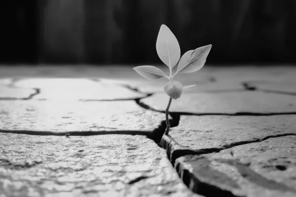 Seven Steps to Increase Your Resilience.