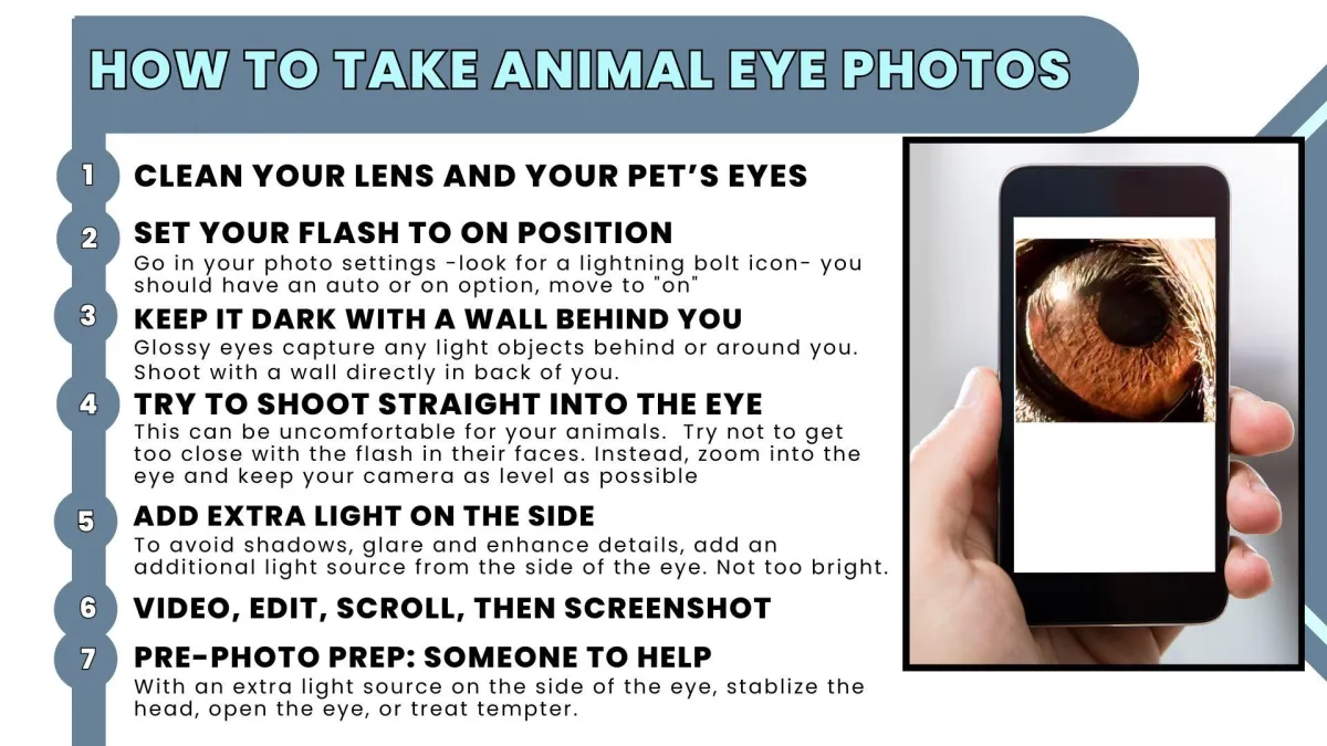Right click to download How to Take Pet Eye Photos