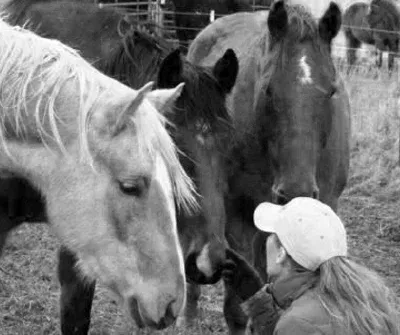 Poppy Phillips with horses