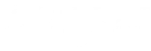 Whiteout Winter Services Logo