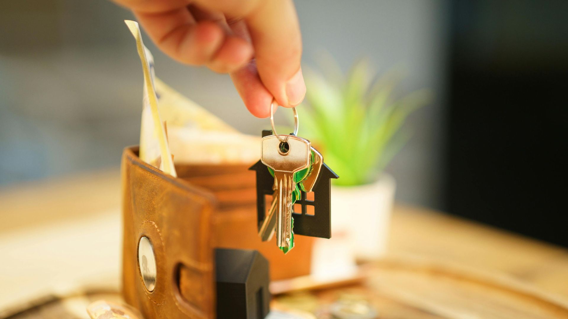  Commercial Extensions