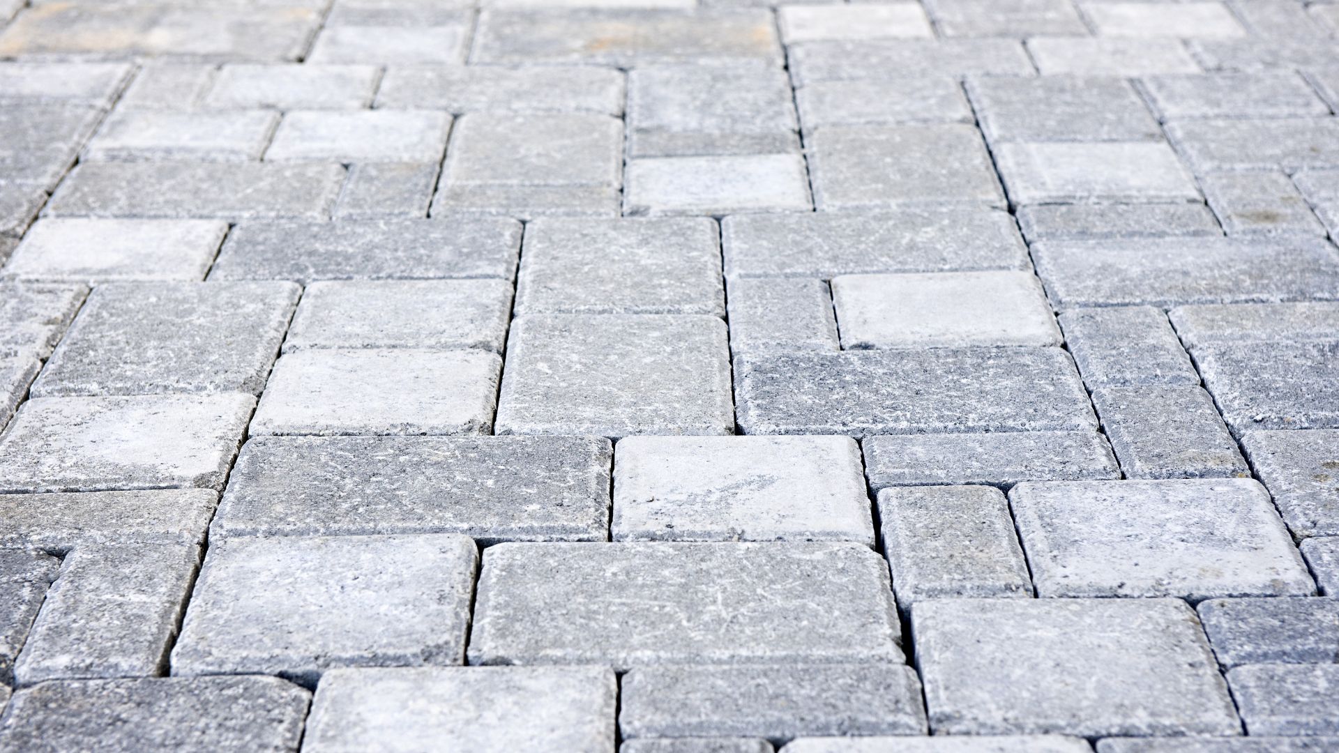 Groundwork in Tyne and Wear