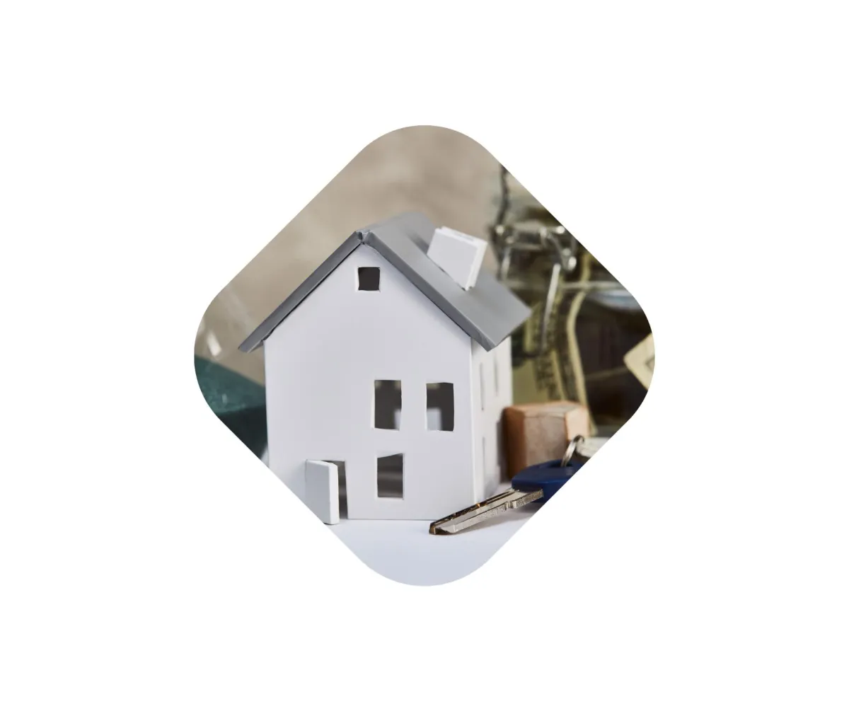 procesos inmobiliarios