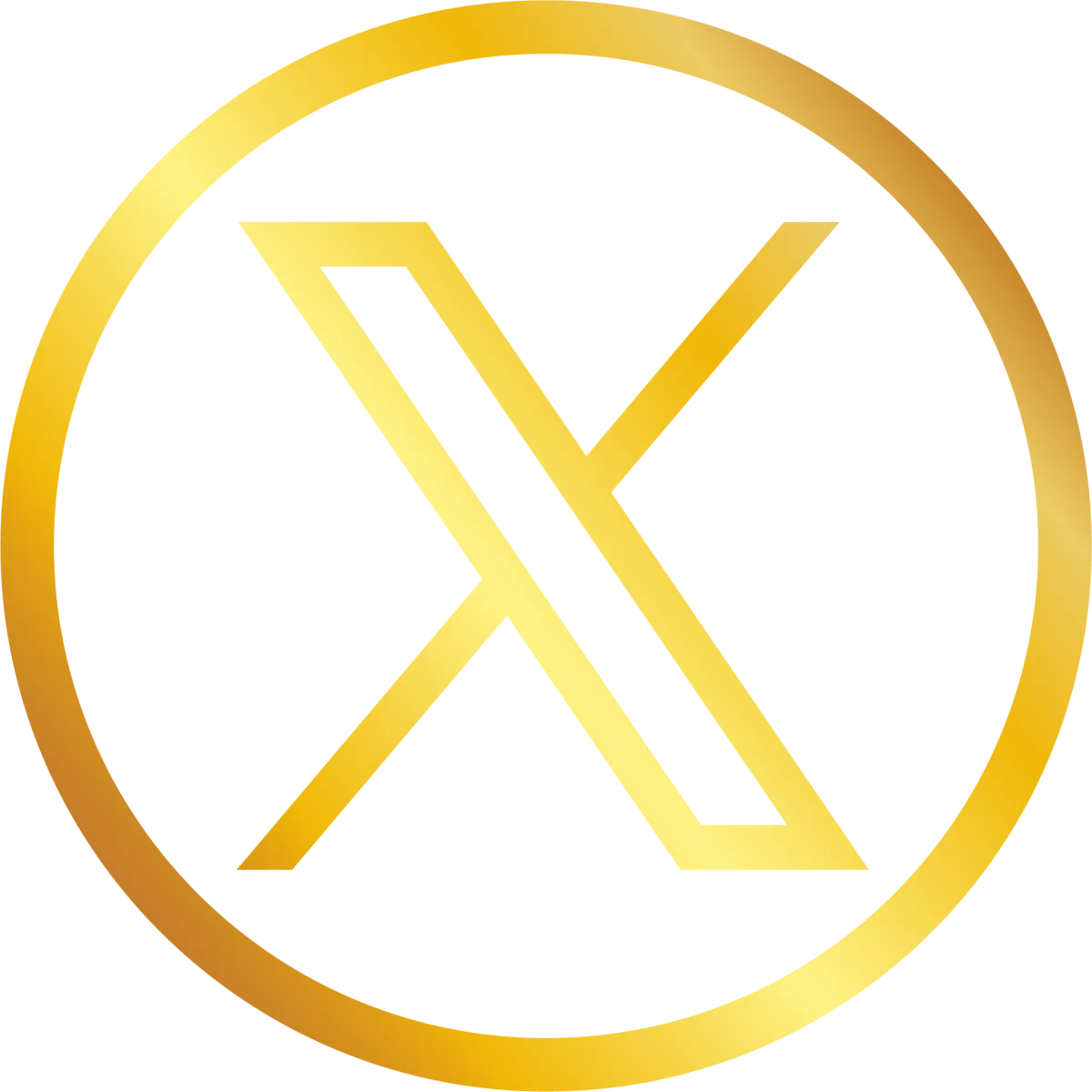 X (Twitter)