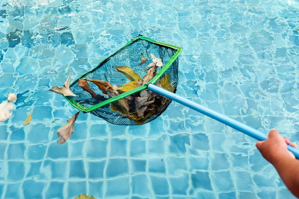 pool maintenance